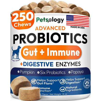 Petsology Advanced Probiotics For Dogs With Digestive Enzymes And Prebiotics 250 Chews USA Imported Formula For Gut Health And Allergy Relief