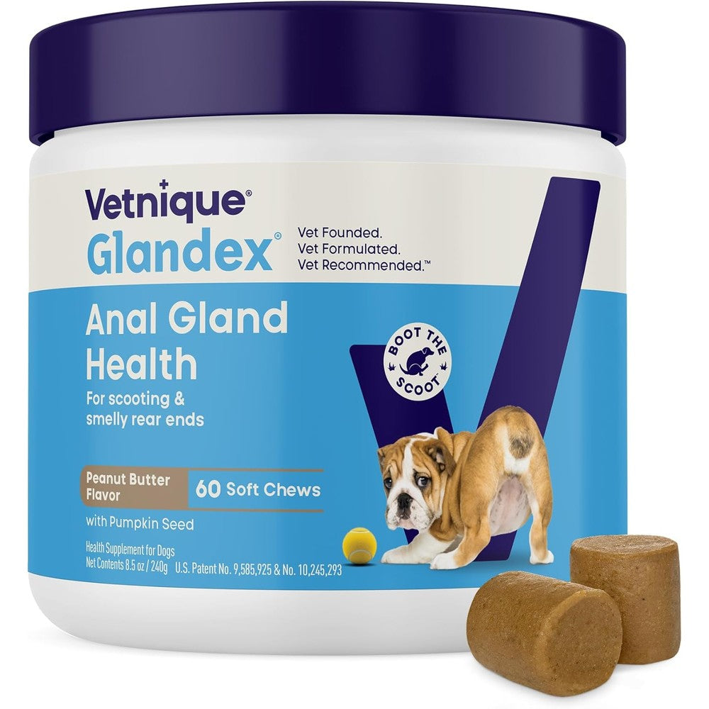 Vetnique Glandex Anal Gland Soft Chew Treats For Dogs With Pumpkin And Probiotics Peanut Butter Flavor 60 Count