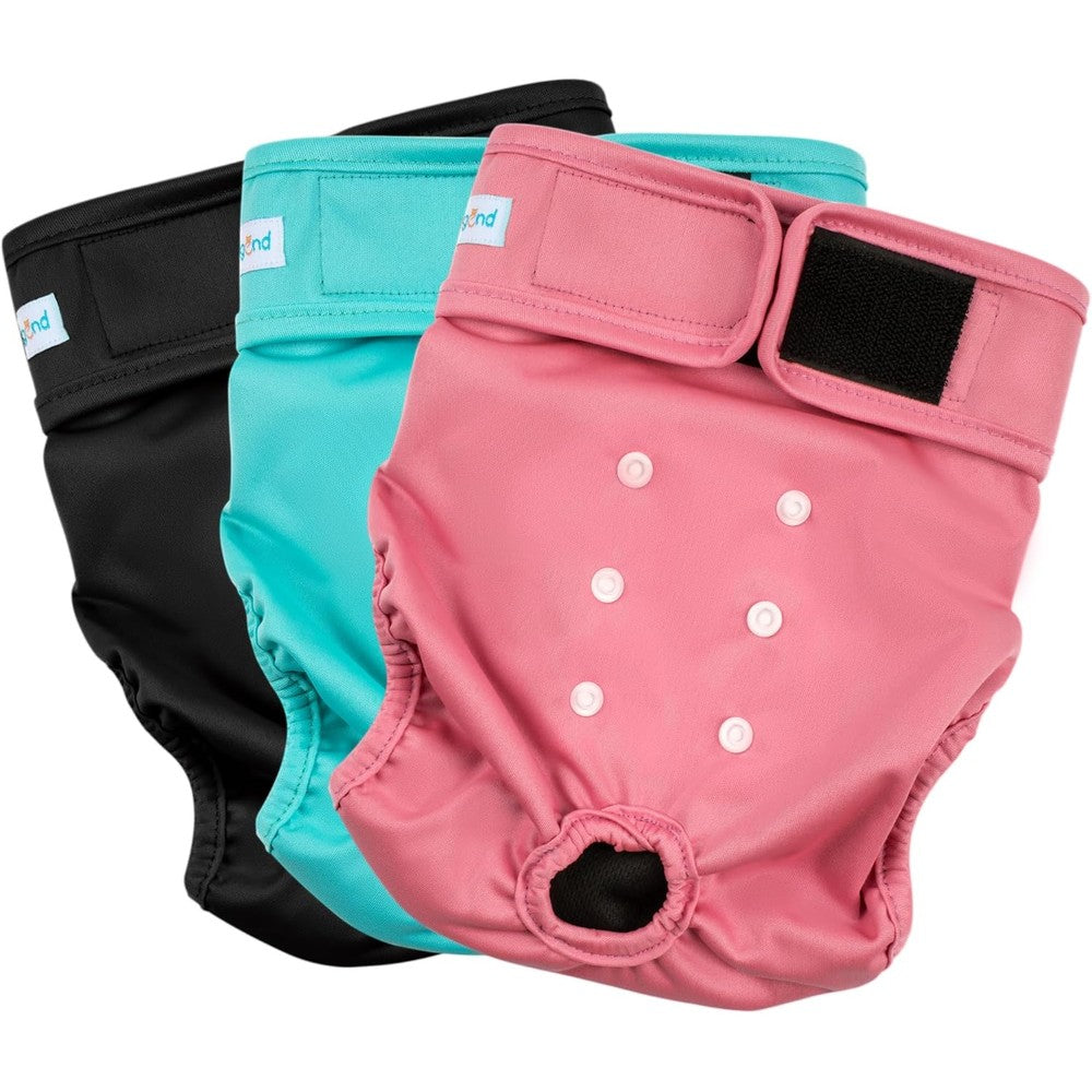 Paw Legend Washable Reusable Female Dog Period Diapers For Heat Cycles And Incontinence Pack Of 3 X-Small Size