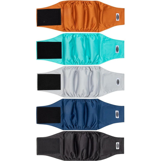 Tuiskusa Male Dog Diapers High Absorbing Dog Belly Bands Washable Reusable Male Wraps For Incontinence And Marking 5 Pack