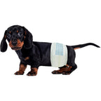 BV Male Dog Wraps Disposable Doggie Diapers With Wetness Indicator Super Absorbent Small Size Fifty Count