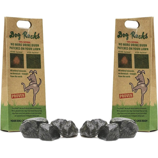 Dog Rocks For Urine Burning Grass Natural Pet Rock To Maintain Green Lawn Pack Of 2 (400 Gram Total)