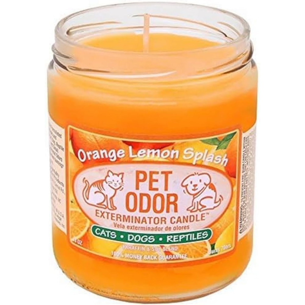 Specialty Pet Products Orange Lemon Splash Pet Odor Exterminator Candle 13 Ounce Jar