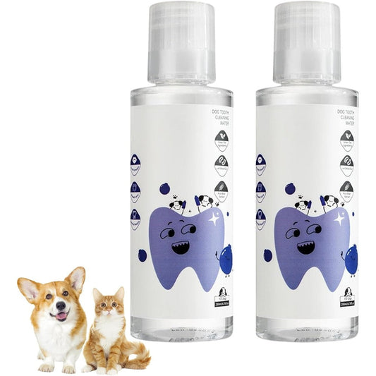 PawBright Dental Plus Pet Teeth Cleaning Water Additive Odorless And Flavorless Formula For Dogs And Cats 200ml Pack Of 2