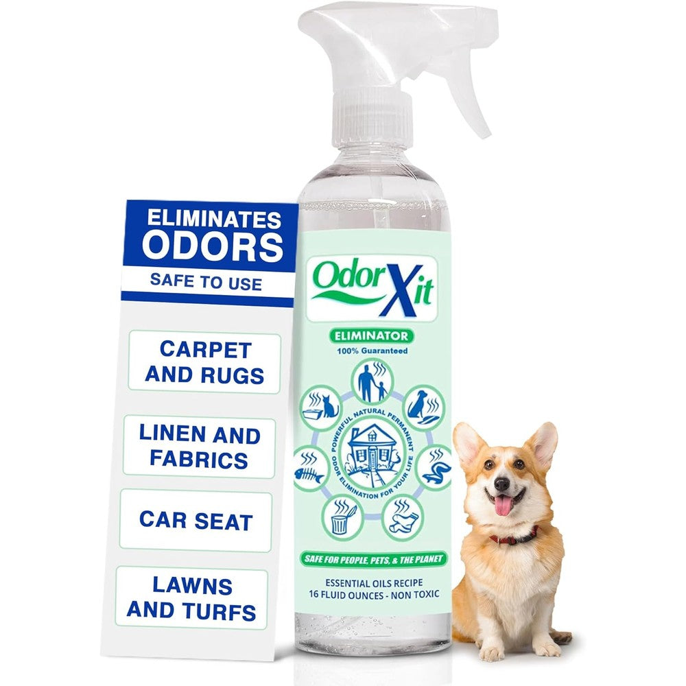 OdorXit Odor Eliminator Spray Natural Pet Urine And Feces Odor Neutralizer Ready To Use Formula For Indoor And Outdoor Surfaces 16 Ounce