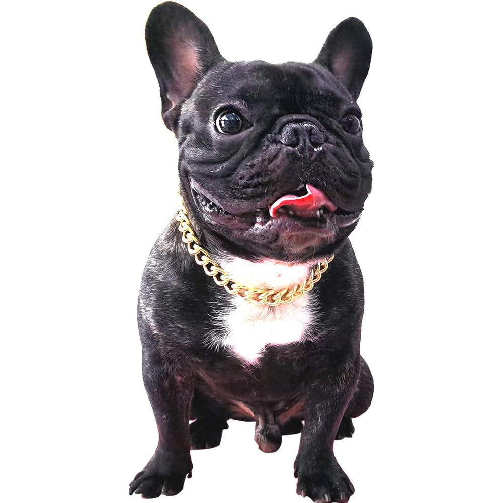 PP COLOR Gold Chain Dog Collar 15 Millimeter Light Metal Cuban Link Pet Necklace For Puppies And Bulldogs Gold Costume Accessory 11 Inches