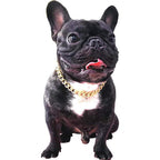 PP COLOR Gold Chain Dog Collar 15 Millimeter Light Metal Cuban Link Pet Necklace For Puppies And Bulldogs Gold Costume Accessory 11 Inches