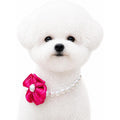 Sheens Elegant Pearl Flower Dog Necklace Adjustable And Stylish Ribbon Pet Collar Jewellery Accessory For Small And Medium Dogs