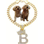 BA UNIQUE FASHION Cuban Letter Initial Dog Chain Necklace Pet Cat Puppy Collar In 14K Gold Plated Alloy B Variant 10 Inch
