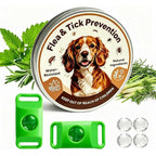Hoelesky Natural Flea And Tick Prevention Pendant For Dogs With Four Refills And Two Silicone Buckles Waterproof Repellent Tag For All Breeds And S...