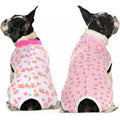 Miaododo 2 Packs Pet Dog Recovery Onesie Suit For Dogs And Cats After Surgery Abdominal Wounds Cone Alternative White Flower Medium