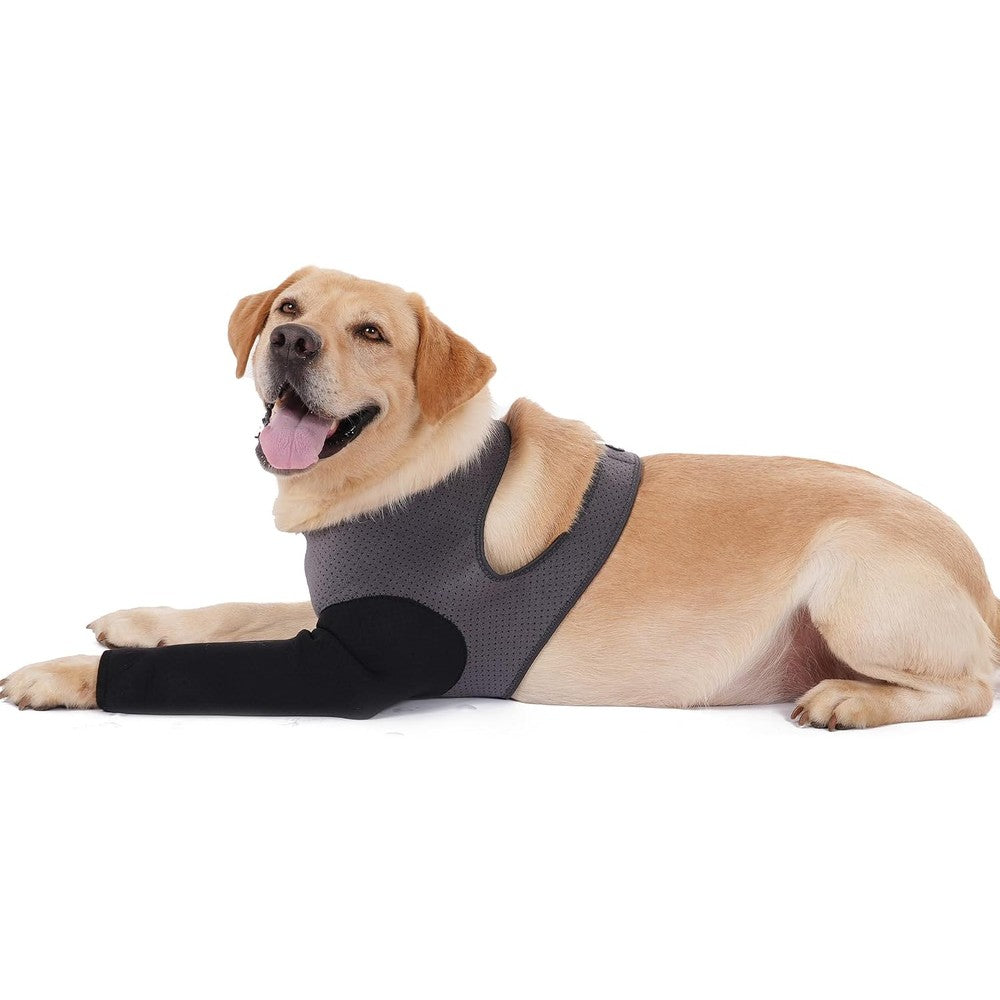 Cilkus Dog Recovery Sleeve Front Leg For Wound Protection Washable Two Point Five Millimeter Thick Breathable Fabric Extra Large Grey Black