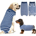 Pelukoa Recovery Suit For Dogs And Cats Soft Surgery Shirt For Female Spay And Male Neuter Comfortable Cone Alternative Blue Medium
