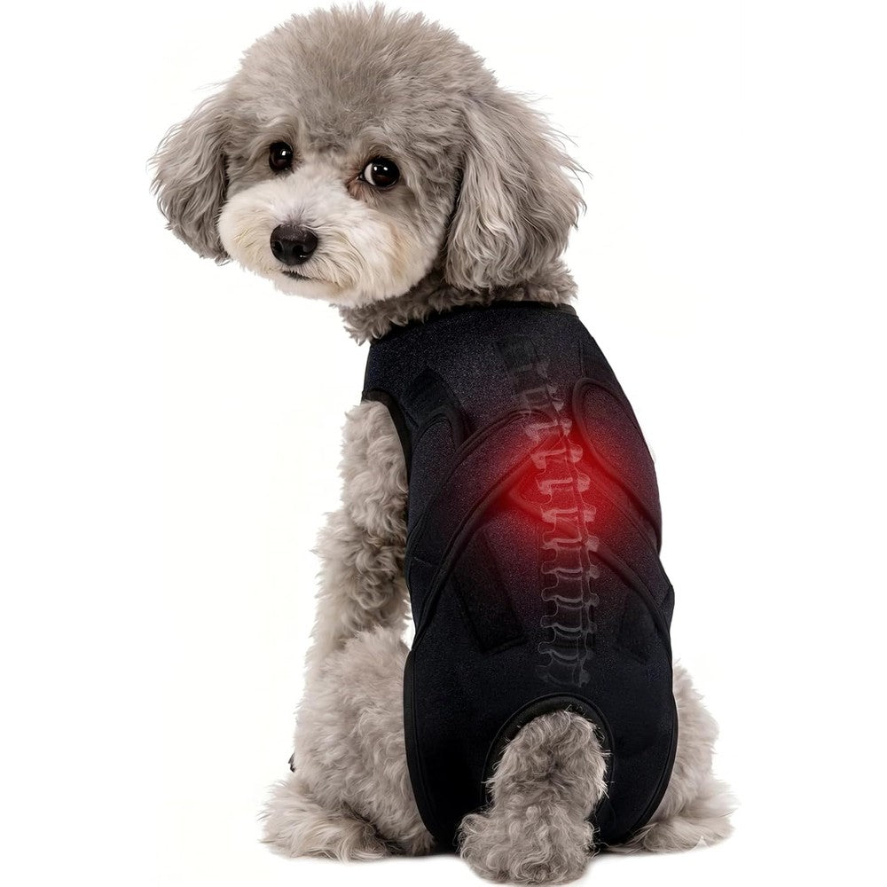 LETSQK Dog Back Brace For IVDD Recovery Adjustable Spine Support Vest Harness For Small Dogs Black Size Small