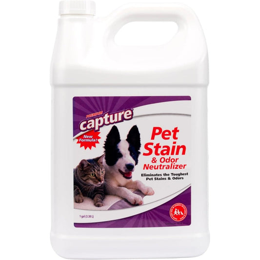 Capture Pet Stain And Odor Remover Enzyme Pet Odor Eliminator For Home Carpet Upholstery And Cat Urine Destroyer 1 Gallon Bottle