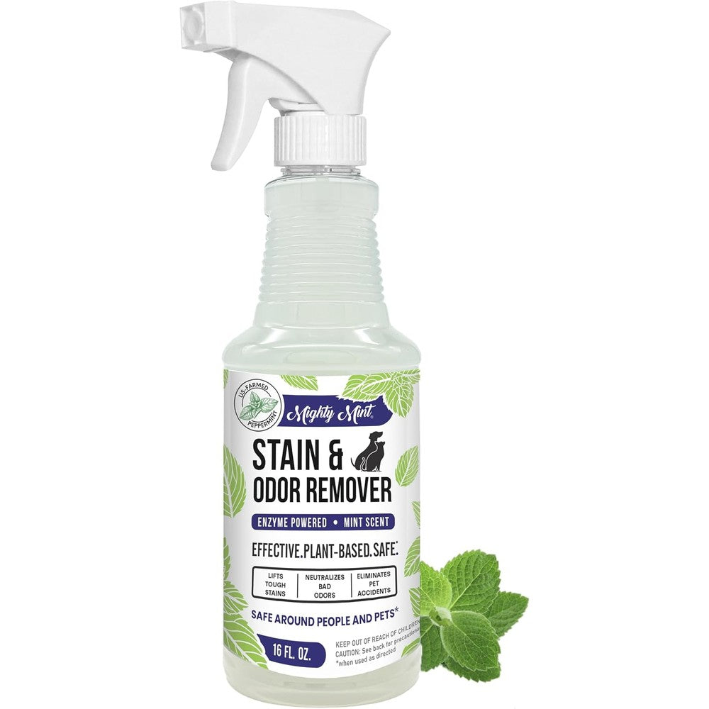Mighty Mint Stain And Odor Remover Natural Enzyme Spray For Pets Peppermint Scent 16 Fluid Ounce