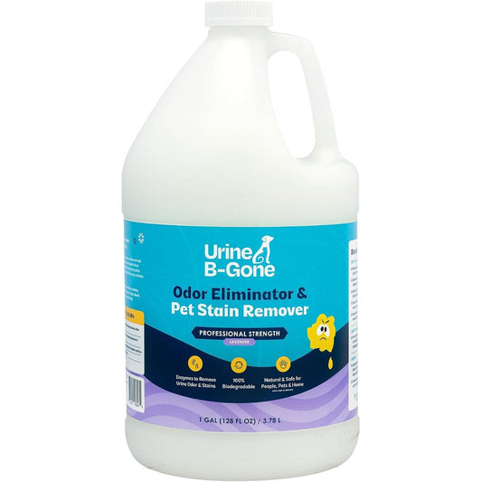 Kinzua Environmental Urine B-Gone Professional Enzyme Odor Eliminator And Pet Stain Remover For Human And Pet Accidents Lavender Scent 1 Gallon
