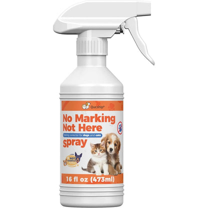 Qucship Not Here Dog Training Spray To Stop Unwanted Indoor Urine Marking 16 Fluid Ounce USA Imported Pet Behavior Correction Aid
