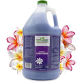 Green Groom Dog Shampoo Plus Conditioner With Plumeria Fragrance All Natural Ingredients For Pets 1 Gallon Bottle