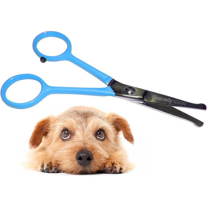 Scaredy Cut Tiny Trim Ball Tipped Small Pet Grooming Scissor For Dogs And Cats Safety Shears For Ear Nose Face Paw Blue Four Point Five Inches