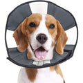 ZenPet ProCone Pet Recovery E-Collar For Dogs And Cats Padded Soft Adjustable Canvas Protective Cone For Post Surgery Healing Medium
