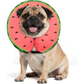 Midog Soft Inflatable Dog Cone Collar For Large And Medium Dogs Watermelon Design Adjustable Protective Recovery E Collar Size Medium