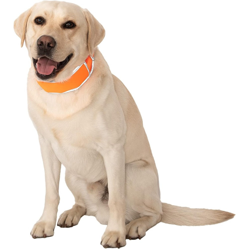 CoolerDog Hi-Vis Dog Cooling Collar Orange Reflective Re-Freezable Ice Collar For Large Dogs Hot Weather And Heat Relief
