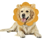 IEUUMLER Inflatable Recovery Dog Collar Protective Donut Cone Adjustable Soft Pet E Collar After Surgery For Dogs And Cats Brown Lion Large Size