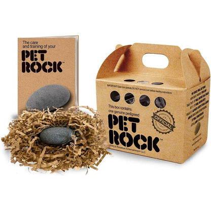 Pet Rock The Original By Gary Dahl Authentic Novelty Stone Desk Companion With Carrying Case Multicolour
