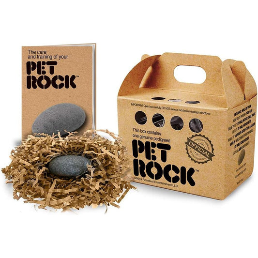 Pet Rock The Original By Gary Dahl Authentic Novelty Stone Desk Companion With Carrying Case Multicolour