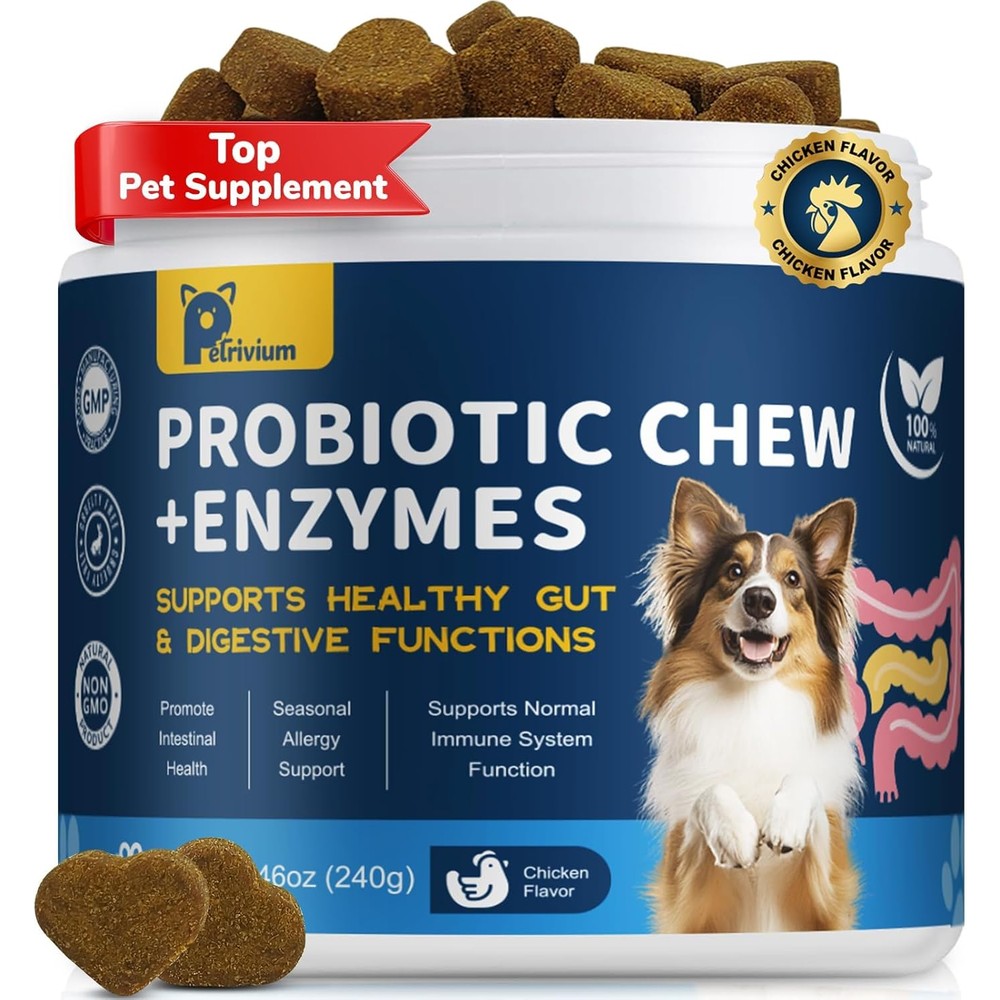 Planopaws Probiotics For Dogs Digestive Health Supplement Chews With Prebiotics And Digestive Enzymes Chicken Flavor 16 Ounce