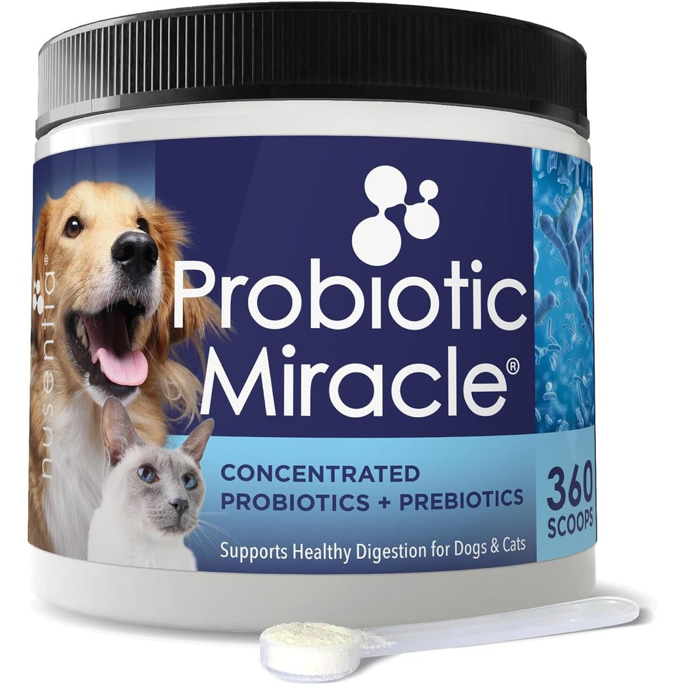 Nusentia Probiotic Miracle For Dogs And Cats Advanced Species Specific Probiotics And Prebiotics Powder Three Hundred Sixty Scoops