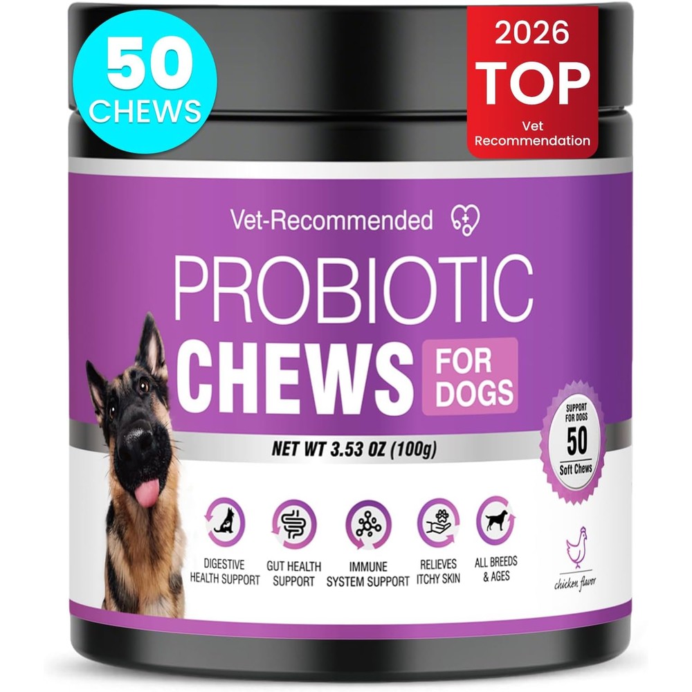 SnazFirst TTLXBL Probiotics For Dogs Soft Chews For Digestive Health And Gut Wellness Chicken Flavor Fifty Count Supplements