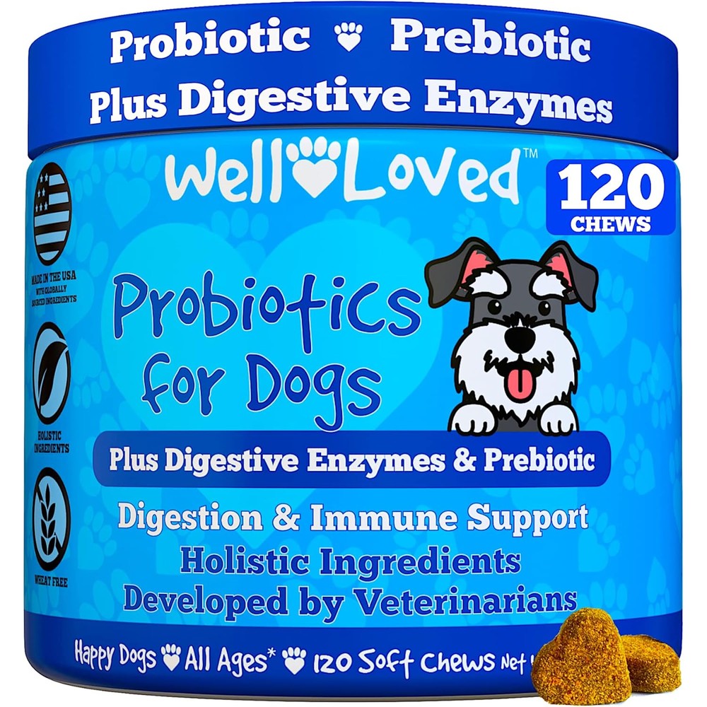 Well Loved Probiotics For Dogs Vet Developed Digestive Health Soft Chews For Gut Support Yeast Balance And Itchy Skin Relief 120 Count