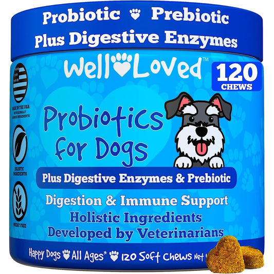 Well Loved Probiotics For Dogs Vet Developed Digestive Health Soft Chews For Gut Support Yeast Balance And Itchy Skin Relief 120 Count