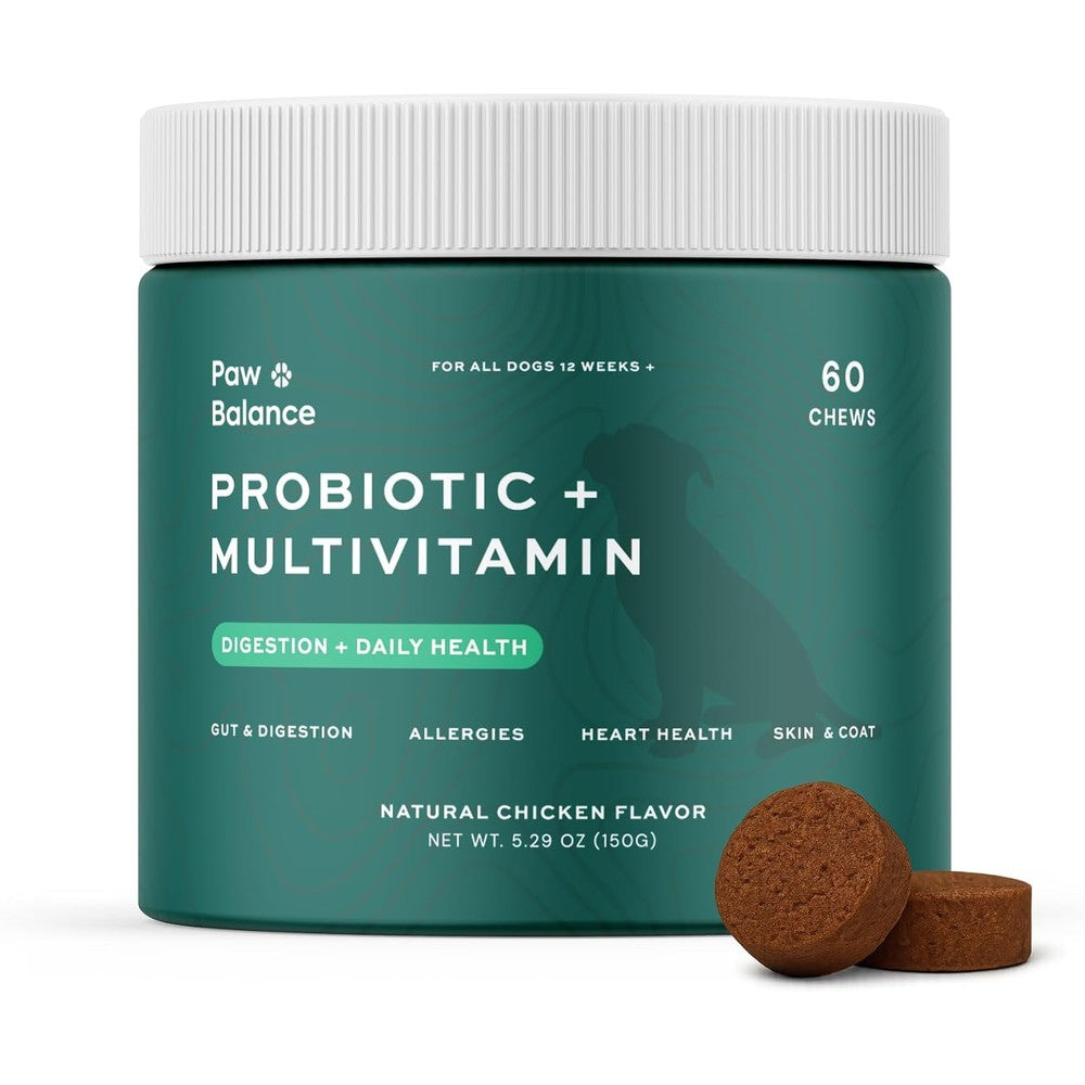 Paw Balance Dog Probiotics And Multivitamin Soft Chews For Digestive Health And Allergy Support Natural Chicken Flavor Sixty Count Jar