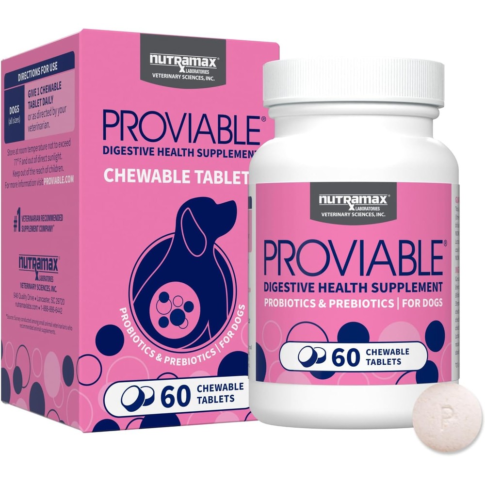 Nutramax Laboratories Proviable Probiotics For Dogs Daily Digestive Health Supplement With Prebiotics Multi Strain Formula 60 Chewable Tablets