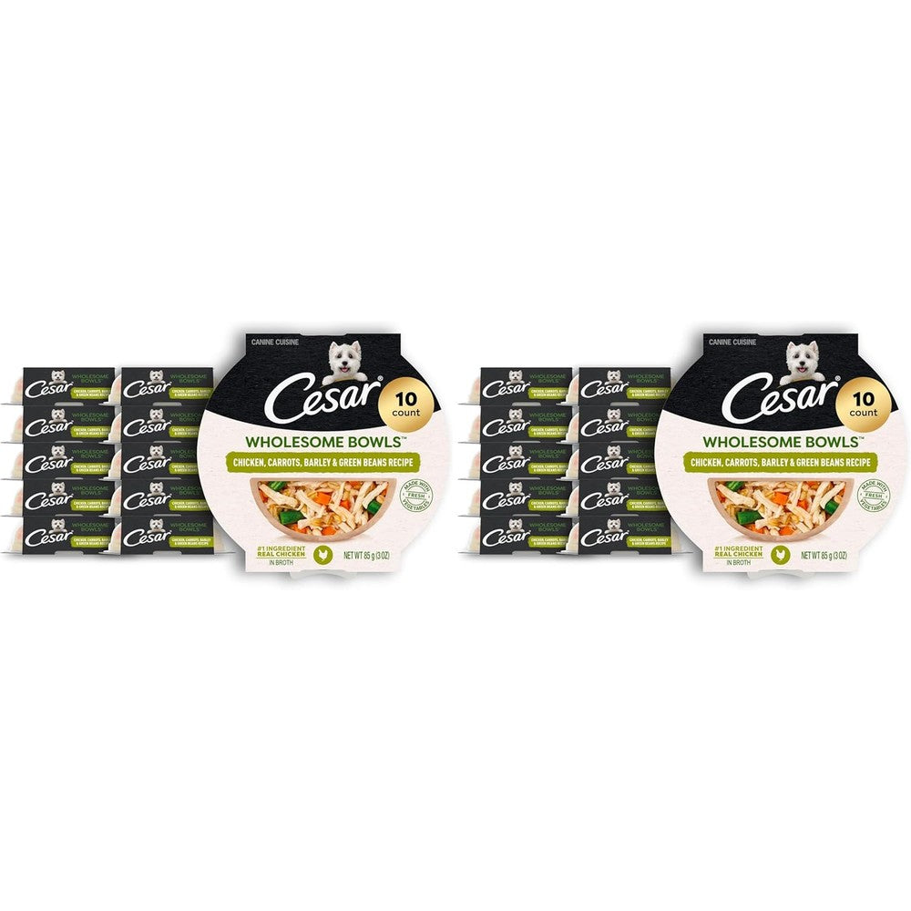 Cesar Wholesome Bowls Adult Wet Dog Food Chicken Carrots Barley And Green Beans Recipe Three Ounce Serving Bowls Ten Count Pack Of Two