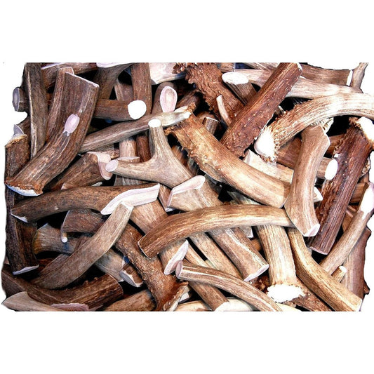 Big Dog Antler Chews Premium Deer Antler Pieces For Dogs One Pound Natural Shed Whitetail Deer Hard Dog Bones Six Inches Or Longer Pack Of Four Pieces