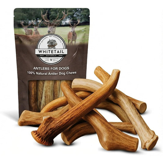 WhiteTail Naturals Deer Antlers For Dogs Premium Grade A Wild Sourced Naturally Shed Antler Chews For Medium To Large Breeds One Pound Bulk Pack