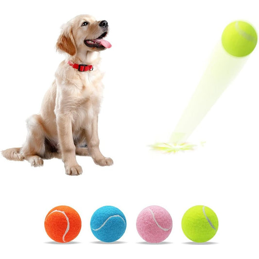 Magicorange Dog Tennis Balls For Dogs Colorful Easy Catching Interactive Pet Playing Balls Multicolor 4 Pack