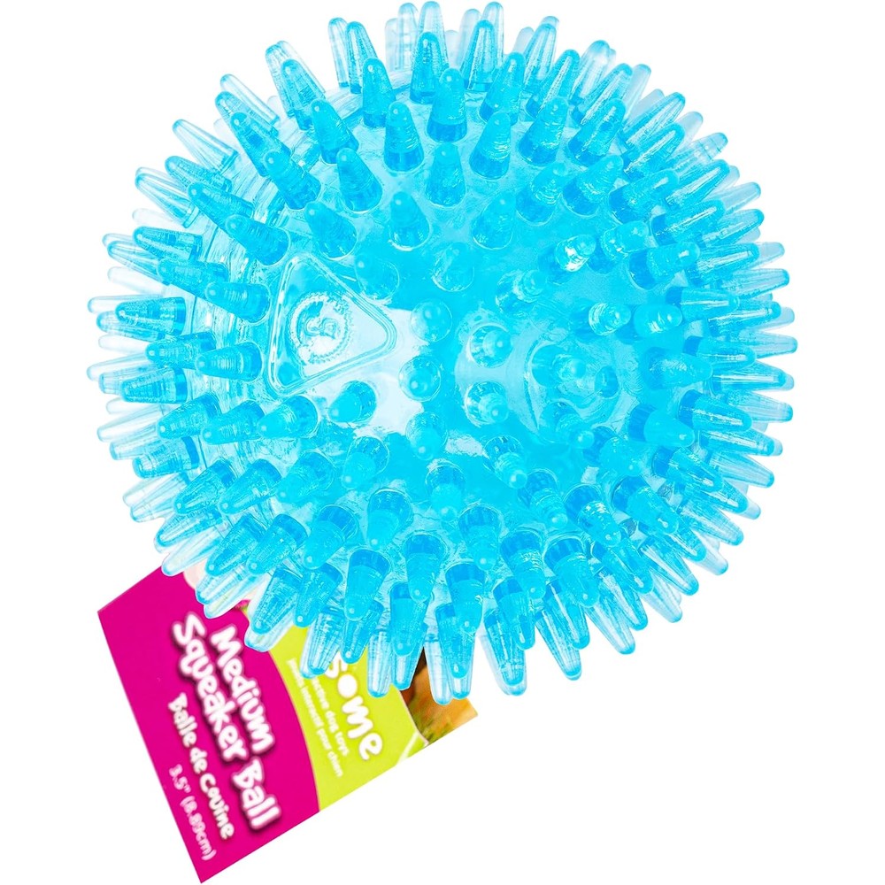 Gnawsome Medium Squeaker Ball Dog Toy, Textured Spiky Rubber Fetch Ball For Dogs, 3.5 Inch, Assorted Colors