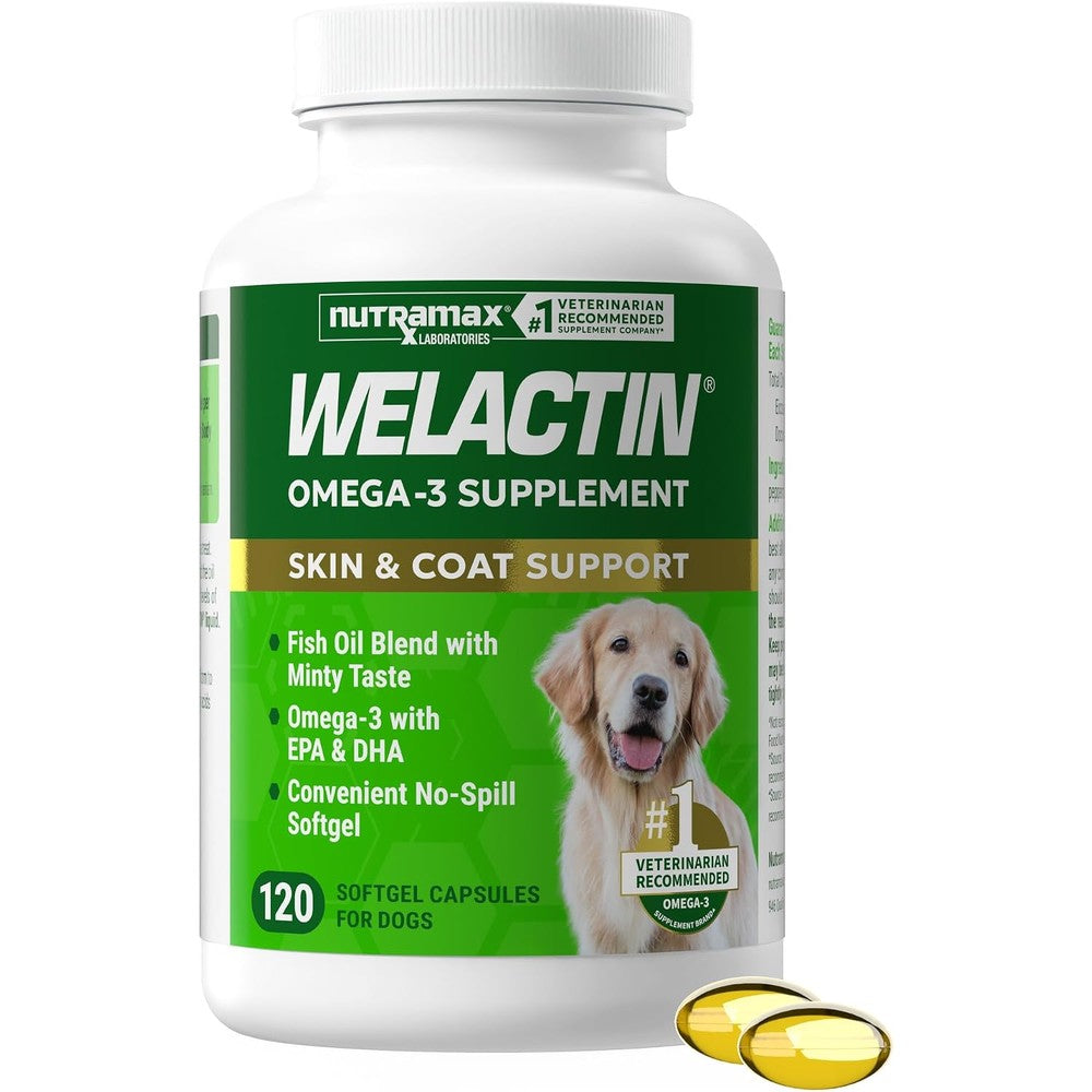 Nutramax Laboratories Welactin Canine Omega 3 Fish Oil Supplement For Dogs Skin And Coat Health Mint Flavored No Spill Softgels 120 Count