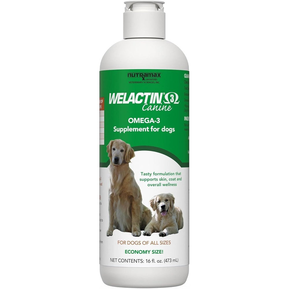 Nutramax Welactin Omega 3 Fish Oil Liquid Supplement For Dogs Healthy Skin Coat Joint And Kidney Support Sixteen Ounce Bottle