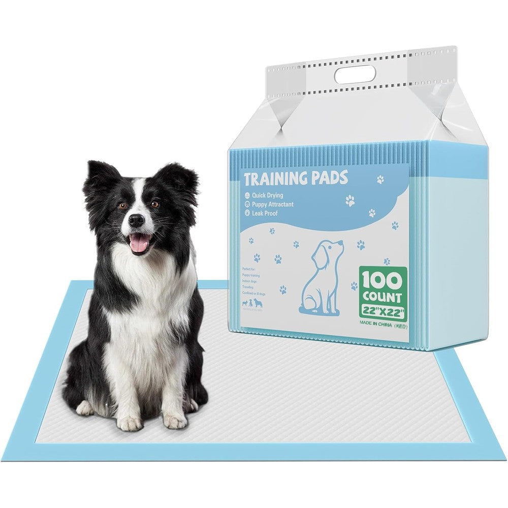 Dumos One Hundred Count Puppy Pads For Dogs Twenty Two Inch By Twenty Two Inch Six Layer Super Absorbent Disposable Leakproof Pet Potty Training Pads