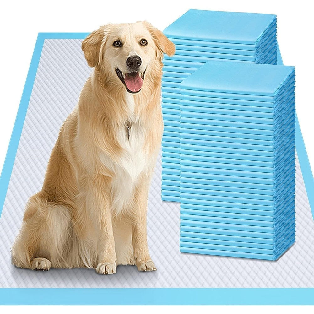 Gimars XL Six Layer Ultra Absorbent Heavy Absorbency Puppy Training Dog Pee Pads Twenty Eight Inches By Thirty Four Inches Thirty Count