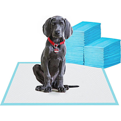 BESTLE Large Pet Training And Puppy Pads Pee Pad For Dogs 24 Inches By 24 Inches 80 Count Super Absorbent And Leak Proof Premium Protection