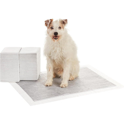 Amazon Basics Carbon Odor Control Dog And Puppy Pee Pads 5-Layer Leak-Proof Super Absorbent Potty Training Pads Extra Large Size 28x34 Inches Gray ...
