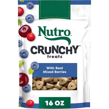 Nutro Crunchy Dog Training Treats With Real Mixed Berries Natural Healthy Reward Biscuits 16 Ounce Bag