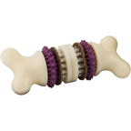 PetSafe Busy Buddy Bristle Bone Dog Chew Toy And Interactive Toothbrush Dental Toy For Aggressive Hard Chewers Medium Size Purple